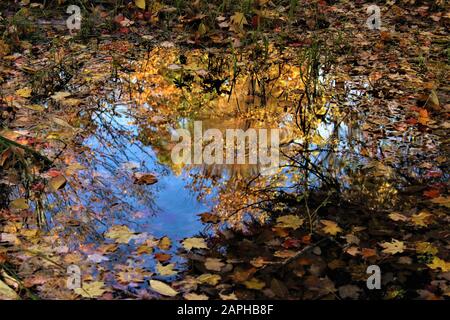 Automne Banque D'Images