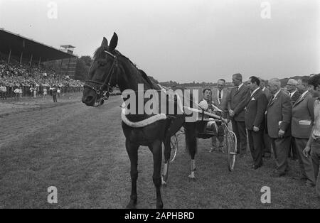 Cours pour le Grand Prix des Pays-Bas à Duindigt 1970 Description: Le Français J.Roussel gagne avec le cheval Tatosca d'avril Annotation: Voir aussi les codes commande: 923-6324, 923-6325, 923-6326 Date: 28 juin 1970 lieu : Den Haag, Duindigt, Zuid-Holland mots clés: Trotter et courses hippiques, chevaux-suquestres, chevaux Banque D'Images