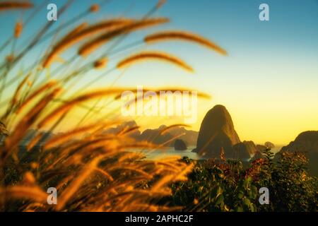 samet nang she paysage lever de soleil avec ciel crépuscule et fleur d'herbe au premier plan Banque D'Images