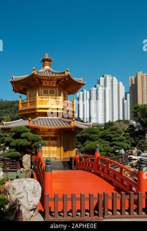 Hongkong, Chine - Novembre 2019: Le Pavillon d'or de la perfection absolue dans le jardin de Nan Lian, Chi Lin Nunnery, un grand temple bouddhiste à Hong Kong Banque D'Images