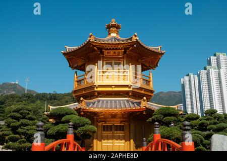 Hongkong, Chine - Novembre 2019: Le Pavillon d'or de la perfection absolue dans le jardin de Nan Lian, Chi Lin Nunnery, un grand temple bouddhiste à Hong Kong Banque D'Images