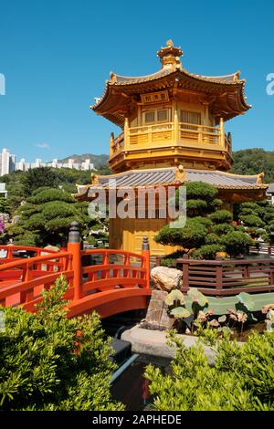 Hongkong, Chine - Novembre 2019: Le Pavillon d'or de la perfection absolue dans le jardin de Nan Lian, Chi Lin Nunnery, un grand temple bouddhiste à Hong Kong Banque D'Images