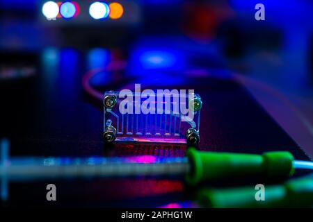 Dispositif microfluidique Instrument qui utilise des micro-quantités de fluide sur une puce de faire certaines analyses de laboratoire. Banque D'Images