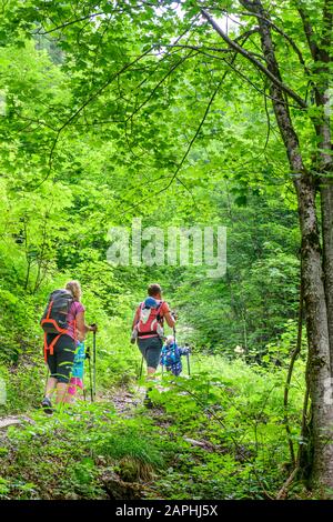 Junge Familie mit kleinen Kindern beim Wandern in den Bergen Banque D'Images