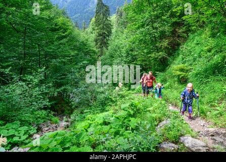 Junge Familie mit kleinen Kindern beim Wandern in den Bergen Banque D'Images