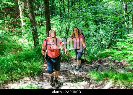 Junge Familie mit kleinen Kindern beim Wandern in den Bergen Banque D'Images