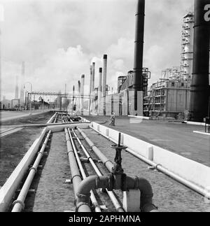 Antilles néerlandaises et Suriname au moment de la visite royale de la Reine Juliana et du Prince Bernhard en 1955 Description: La raffinerie de pétrole du lac à Saint-Nicolas à Aruba Date: 24 octobre 1955 lieu: Aruba, San Nicolas, Saint-Nicolas mots clés: Raffineries de pétrole Nom de l'établissement: Lago Banque D'Images