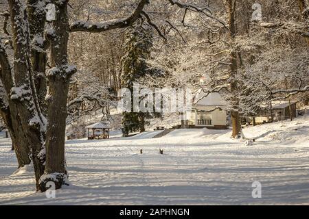 Belle journée hivernale enneigée blanche à Sigulda, Lettonie Banque D'Images