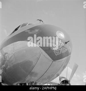 Schiphol et identité corporative KLM Description: Le nez d'un KLM Convair 240 avec l'emblème KLM sous le projecteur de l'aéroport de Schiphol Date: Août 1951 lieu: Noord-Holland, Oud-Schiphol mots clés: Emblèmes, logos, avions, aéroports Banque D'Images