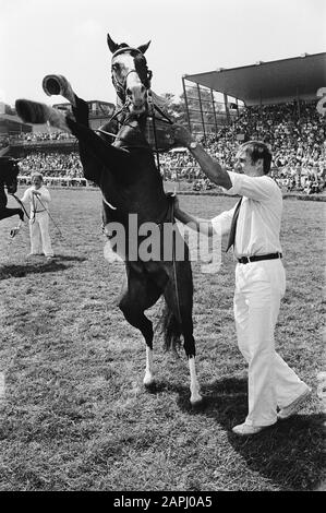 Jour du cheval sur Duindigt Description: The prancing Hackweg pendant le défilé Date: 25 juillet 1979 lieu: Wassenaar, South-Holland mots clés: Trotting et course, chevaux, parades Banque D'Images