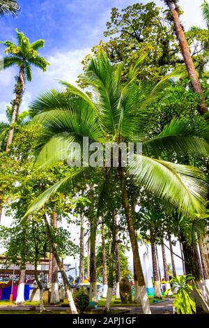 Parque Vargas, Parc De La Ville De Puerto Limon Au Costa Rica Banque D'Images