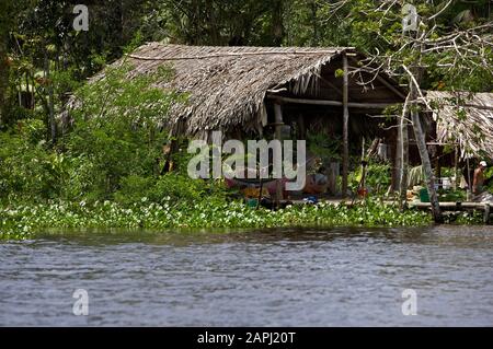 La maison de Warao, le long du fleuve, les Indiens vivant à Orinoco Delta, Venezuela Banque D'Images