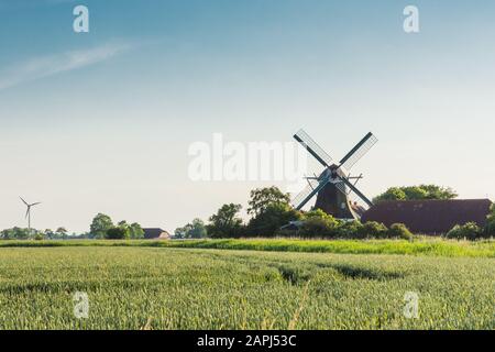 Seriemer Mill et champ de blé, Frise orientale, Basse-Saxe, Allemagne Banque D'Images