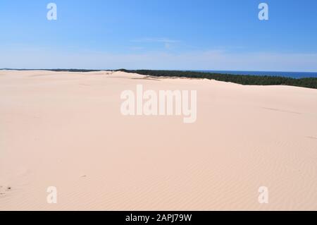 Parc National Slowinski (Polonais : Parc Słowiński Narodowy), Appelé Désert De Leba, Pologne Banque D'Images