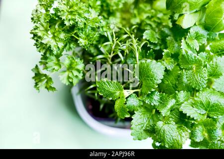 Les aliments sains, les herbes. Banque D'Images