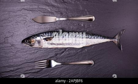 un maquereau frais sur une pierre d'ardoise prêt à cuisiner avec des couverts Banque D'Images