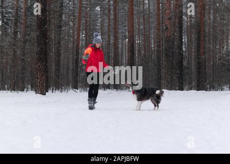 une jeune femme joue de la cisbee avec un chien dans une forêt d'hiver pendant une chute de neige Banque D'Images