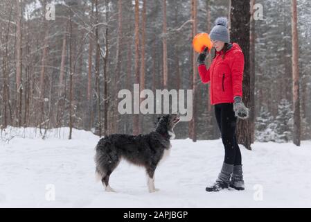 une jeune femme joue de la cisbee avec un chien dans une forêt d'hiver pendant une chute de neige Banque D'Images