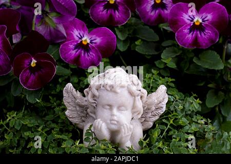 petite figure d'un ange allongé et rêvant entre la plante violette et verte Banque D'Images