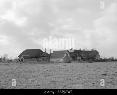 Ferme de Olde Weije dans Vaassen Annotation: Ferme d'essai pour le travail du sol et la fertilisation. Construit en 1962 au nom de l'industrie néerlandaise de l'azote Date : 1962 lieu : Gueldre, Vaassen mots clés : fermes Banque D'Images