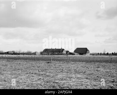 Ferme de Olde Weije dans Vaassen Annotation: Ferme d'essai pour le travail du sol et la fertilisation. Construit en 1962 au nom de l'industrie néerlandaise de l'azote Date : 1962 lieu : Gueldre, Vaassen mots clés : fermes Banque D'Images