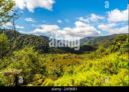 Parc Forestier De Tararua, Ōtaki Forks, Ōtaki, Île Du Nord, Nouvelle-Zélande Banque D'Images