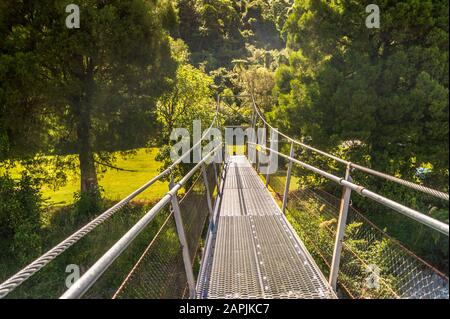 Pont suspendu piétonnier au-dessus de la rivière Ōtaki, Parc forestier de Tararua, Ōtaki Forks, Île du Nord, Nouvelle-Zélande Banque D'Images