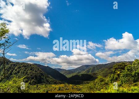 Parc Forestier De Tararua, Ōtaki Forks, Ōtaki, Île Du Nord, Nouvelle-Zélande Banque D'Images