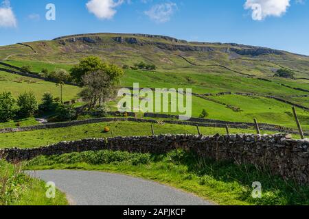 Route rurale dans le Yorkshire Dales près d'Askrigg, Yorkshire du Nord, Angleterre, Royaume-Uni Banque D'Images