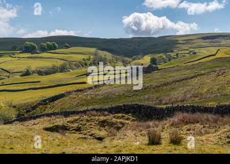 Yorkshire Dales paysage dans le Swaledale près de Gunnerside, North Yorkshire, Angleterre, Royaume-Uni Banque D'Images