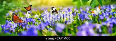 Petit paradis joyeux avec des cloches bleues sur un pré vert au printemps, avec des papillons qui volent autour, panorama Banque D'Images