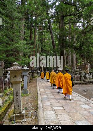 Des moines marchant sur le sentier de 2 km avec des tombes anciennes dans le cimetière d'Okunoin vers le mausolée de Kobo Daishi dans le site De L'Unesco Koyasan, Japon Banque D'Images