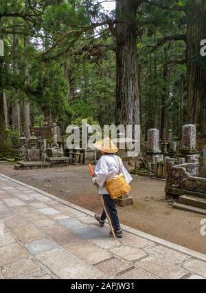 Pilgrim marchant sur le long chemin du cimetière OkUnion vers le mausolée Kobo Daishi, lieu de naissance du bouddhisme Shingon, sur le site de l'UNESCO Koyasan Banque D'Images