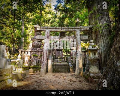Tombes âgées dans le cimetière OkUnion sur la montagne Koyasan dans la préfecture de Wakayama au Japon, site classé au patrimoine mondial De L'Unesco Banque D'Images