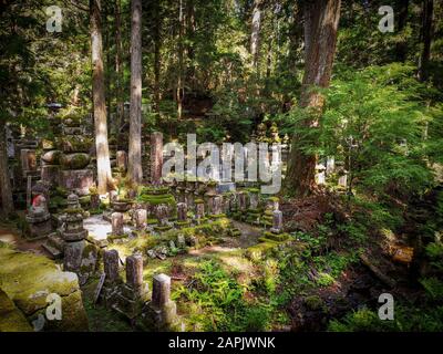 Tombes âgées dans le cimetière OkUnion sur la montagne Koyasan dans la préfecture de Wakayama au Japon, site classé au patrimoine mondial De L'Unesco Banque D'Images
