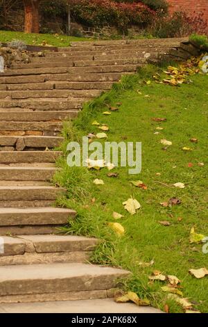 une vue basse sur les marches incurvées du jardin qui s'abattent avec de l'herbe de chaque côté et des arbres au sommet et des feuilles d'automne sur l'herbe Banque D'Images