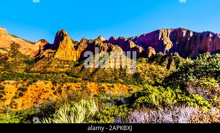 Vue sur Nagunt Mesa et d'autres pics de Red Rock de la partie Kolob Canyon du parc national de Zion, Utah, États-Unis. Vue depuis la East Kolob Canyon Road Banque D'Images