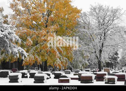 31 octobre 2019, racine, Wisconsin, États-Unis : les couleurs de l'automne sont encore évidentes sur de nombreux arbres lorsque le cimetière historique de Mound de couvertures de neige tôt dans la saison à racine, Wisconsin, jeudi 31 octobre 2019. Certaines communautés de la région ont reporté le tour d'Halloween ou ont traité des activités à cause de la neige. (Image De Crédit : © Mark Hertzberg/Zuma Wire) Banque D'Images