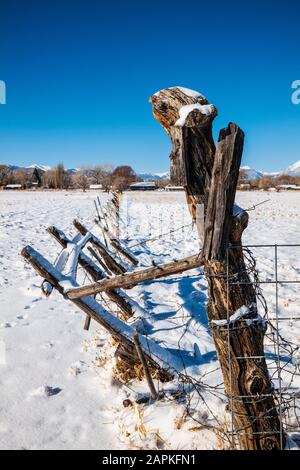 Barbelés et bois poteaux de clôture ; les pâturages couverts de neige ; ranch dans le centre du Colorado, USA Banque D'Images