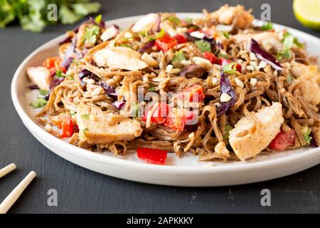 Salade de poulet épicé maison Soba Noodle sur une plaque grise sur fond noir, vue latérale. Gros plan. Banque D'Images