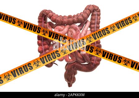Virus des intestins humains. Rendu 3D isolé sur fond blanc Banque D'Images