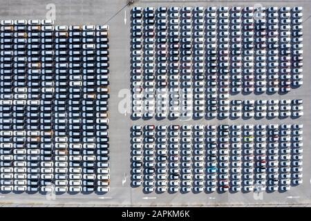 Vue aérienne de dessus de nouvelles voitures alignées dans le port pour l'importation de logistique d'affaires d'exportation et de transport par navire dans la mer ouverte. Nouvelle voiture de l'usine Banque D'Images