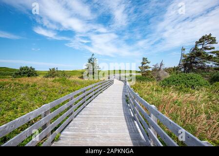 Canada, Île-du-Prince-Édouard, Greenwich, promenade vide dans le parc national de l'Île-du-Prince-Édouard Banque D'Images