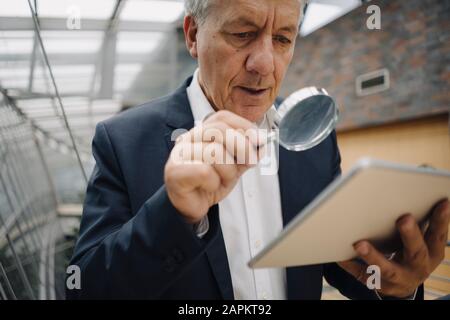 Homme d'affaires senior avec une tablette de lecture en loupe au bureau Banque D'Images