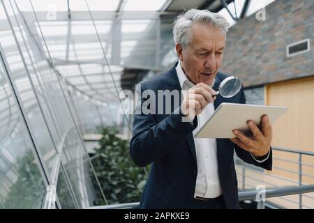 Homme d'affaires senior avec une tablette de lecture en loupe au bureau Banque D'Images