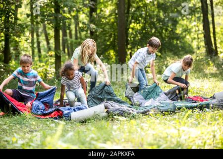 Les enfants de l'école déballant leurs sacs de couchage pour camper dans la forêt Banque D'Images