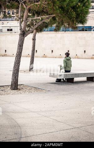 France, Côte d’Azur, Marseille, Femme avec chien assis sur banc au Vieux Port Banque D'Images