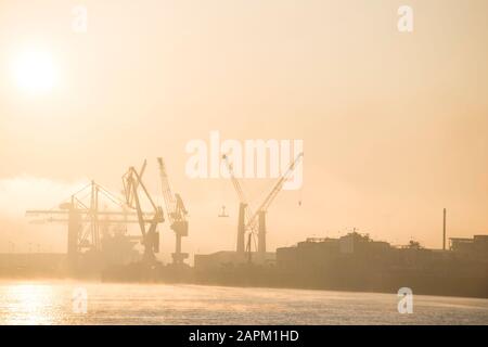Allemagne, Hambourg, Silhouettes de grues portuaires au lever du soleil Banque D'Images