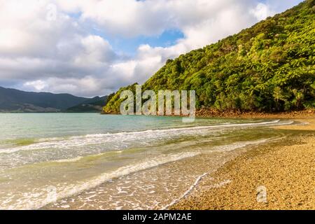 Nouvelle-Zélande, région de Marlborough, Nikau Cove et Kenepuru Sound Banque D'Images