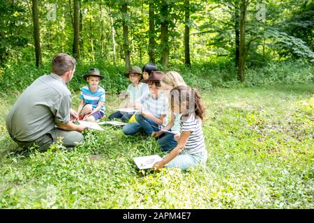 Les enfants scolarisés apprennent à distinguer les espèces animales de la forêt Banque D'Images